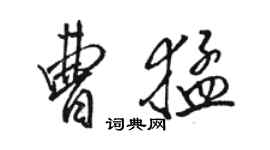 駱恆光曹猛行書個性簽名怎么寫