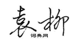 駱恆光袁柳行書個性簽名怎么寫