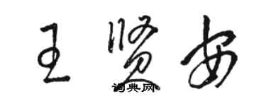 駱恆光王賢安草書個性簽名怎么寫