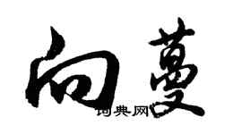 胡問遂向蔓行書個性簽名怎么寫