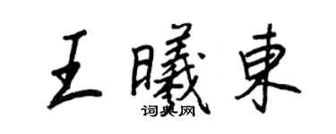 王正良王曦東行書個性簽名怎么寫