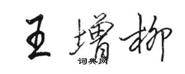 駱恆光王增柳行書個性簽名怎么寫