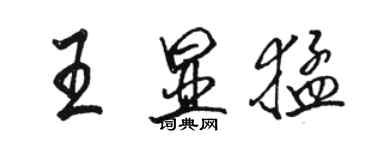 駱恆光王顯猛行書個性簽名怎么寫