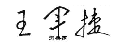 駱恆光王軍捷草書個性簽名怎么寫