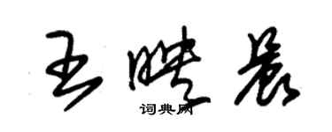 朱錫榮王映晨草書個性簽名怎么寫