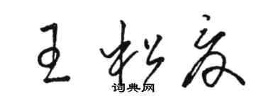 駱恆光王松夏草書個性簽名怎么寫