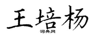 丁謙王培楊楷書個性簽名怎么寫