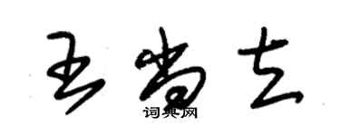 朱錫榮王尚立草書個性簽名怎么寫