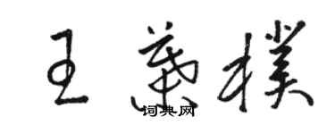 駱恆光王葉朴草書個性簽名怎么寫