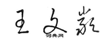 駱恆光王文嚴草書個性簽名怎么寫