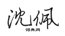 駱恆光沈佩行書個性簽名怎么寫