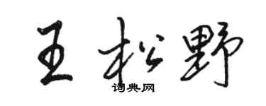 駱恆光王松野行書個性簽名怎么寫