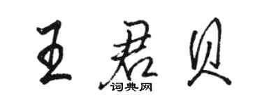駱恆光王君貝行書個性簽名怎么寫
