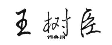 駱恆光王樹臣行書個性簽名怎么寫