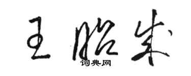 駱恆光王昭成草書個性簽名怎么寫