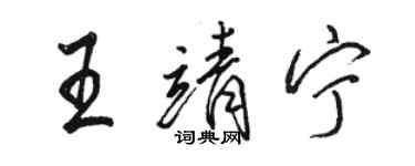 駱恆光王靖寧行書個性簽名怎么寫