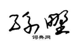 朱錫榮孫野草書個性簽名怎么寫