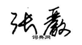 朱錫榮張嚴草書個性簽名怎么寫