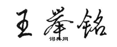 駱恆光王舉銘行書個性簽名怎么寫