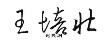 駱恆光王培壯草書個性簽名怎么寫