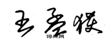 朱錫榮王孟獲草書個性簽名怎么寫