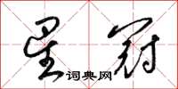 梁錦英星冠草書怎么寫