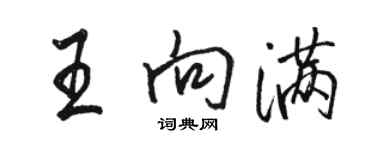 駱恆光王向滿行書個性簽名怎么寫
