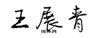 曾慶福王展青行書個性簽名怎么寫