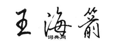 駱恆光王海箭行書個性簽名怎么寫