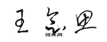 駱恆光王念思草書個性簽名怎么寫