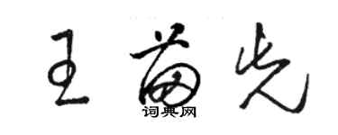 駱恆光王苗先草書個性簽名怎么寫