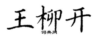 丁謙王柳開楷書個性簽名怎么寫
