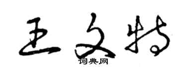 曾慶福王文特草書個性簽名怎么寫