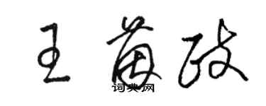 駱恆光王茵政草書個性簽名怎么寫