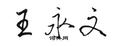 駱恆光王永文行書個性簽名怎么寫