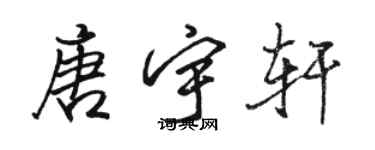 駱恆光唐宇軒行書個性簽名怎么寫