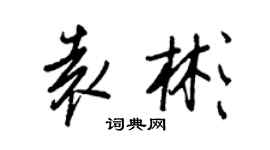 王正良袁彬行書個性簽名怎么寫