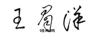 駱恆光王眉洋草書個性簽名怎么寫