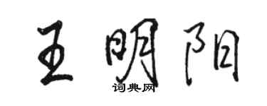駱恆光王明陽行書個性簽名怎么寫