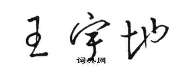 駱恆光王宇地草書個性簽名怎么寫