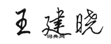 駱恆光王建曉行書個性簽名怎么寫