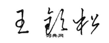 駱恆光王欽松草書個性簽名怎么寫