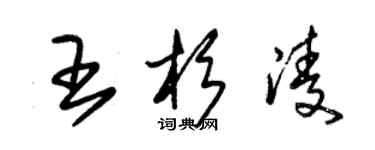 朱錫榮王杉凌草書個性簽名怎么寫