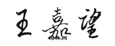 駱恆光王嘉望行書個性簽名怎么寫