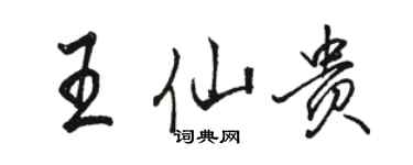 駱恆光王仙貴行書個性簽名怎么寫