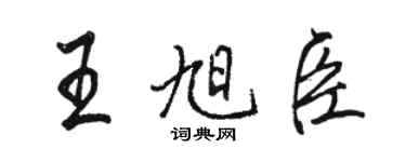 駱恆光王旭臣行書個性簽名怎么寫