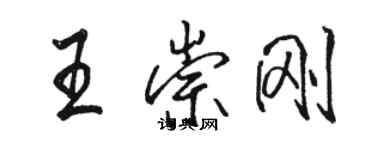 駱恆光王崇剛行書個性簽名怎么寫