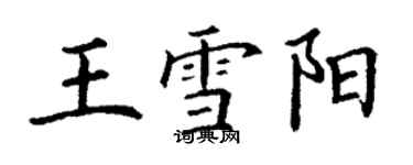 丁謙王雪陽楷書個性簽名怎么寫