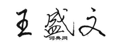 駱恆光王盛文行書個性簽名怎么寫