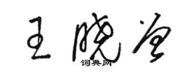 駱恆光王曉曾草書個性簽名怎么寫